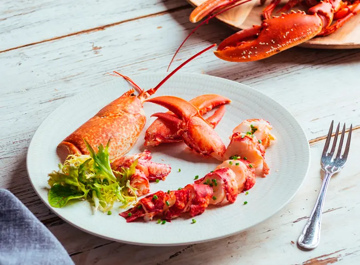 lANDOSTA Divinus catering